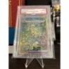Carta Decorativa Leafeon ex 2025