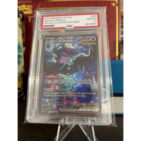 Carta Decorativa Walking Wake ex 2024